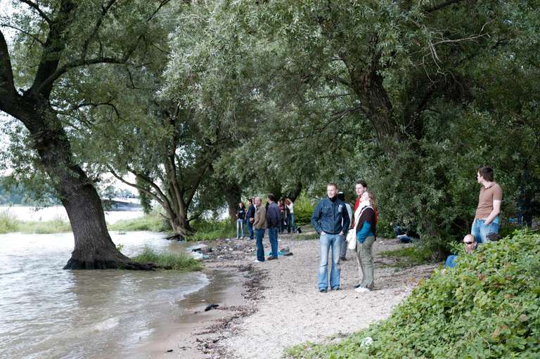 Monsters Of Spex 2005